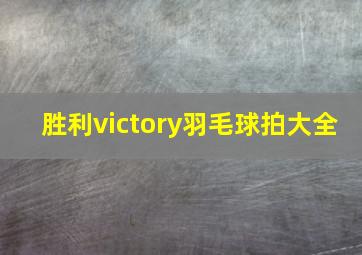 胜利victory羽毛球拍大全