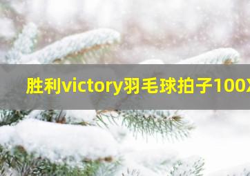 胜利victory羽毛球拍子100X