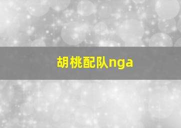 胡桃配队nga