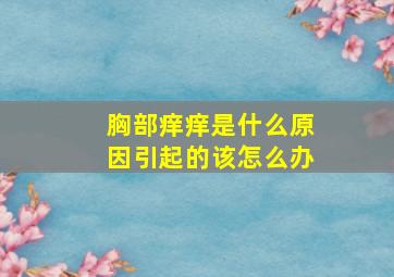 胸部痒痒是什么原因引起的该怎么办