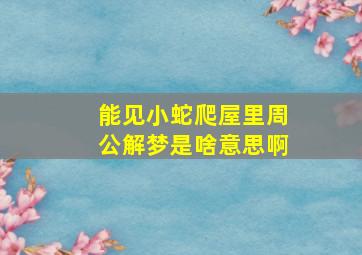 能见小蛇爬屋里周公解梦是啥意思啊