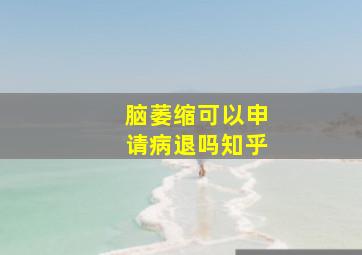 脑萎缩可以申请病退吗知乎