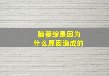 脑萎缩是因为什么原因造成的