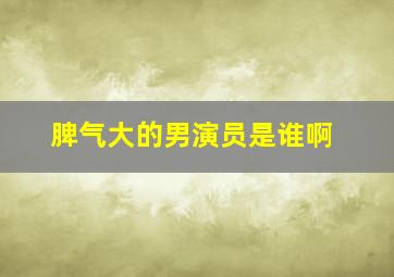 脾气大的男演员是谁啊