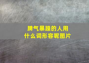 脾气暴躁的人用什么词形容呢图片