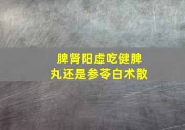 脾肾阳虚吃健脾丸还是参苓白术散