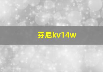 芬尼kv14w