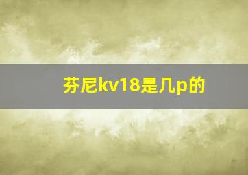 芬尼kv18是几p的