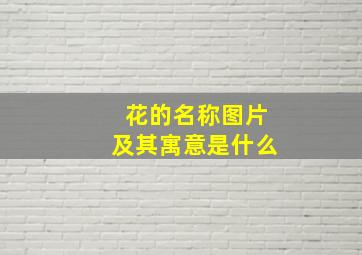 花的名称图片及其寓意是什么