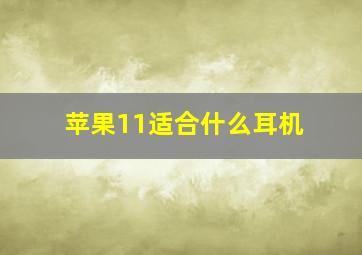 苹果11适合什么耳机