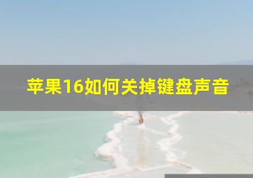 苹果16如何关掉键盘声音