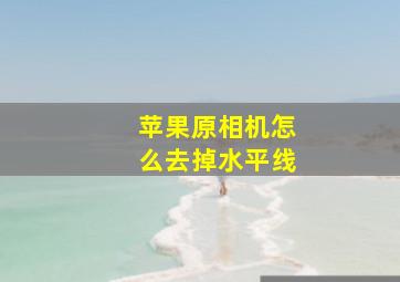 苹果原相机怎么去掉水平线