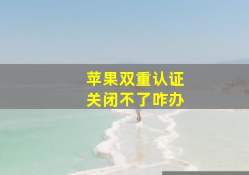 苹果双重认证关闭不了咋办