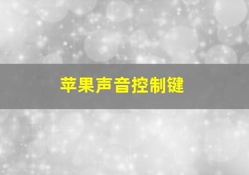 苹果声音控制键