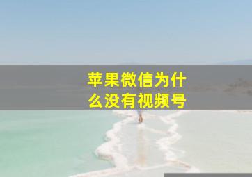 苹果微信为什么没有视频号