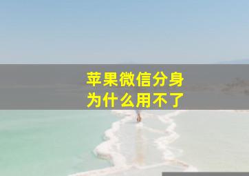 苹果微信分身为什么用不了