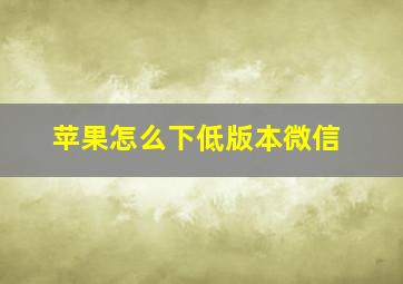 苹果怎么下低版本微信