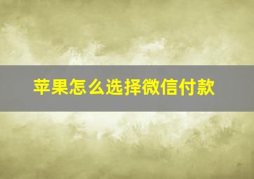 苹果怎么选择微信付款