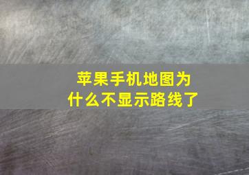 苹果手机地图为什么不显示路线了