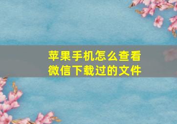 苹果手机怎么查看微信下载过的文件