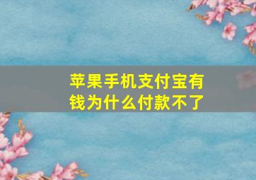 苹果手机支付宝有钱为什么付款不了