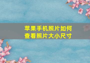 苹果手机照片如何查看照片大小尺寸