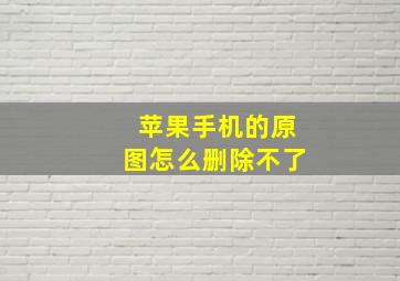 苹果手机的原图怎么删除不了