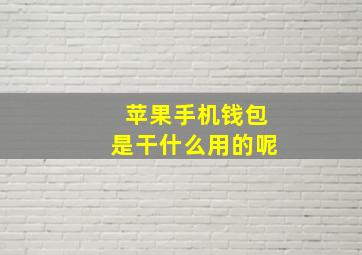 苹果手机钱包是干什么用的呢