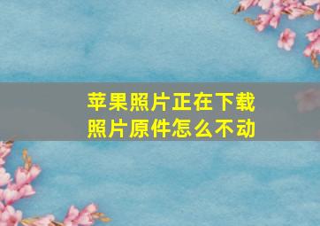 苹果照片正在下载照片原件怎么不动