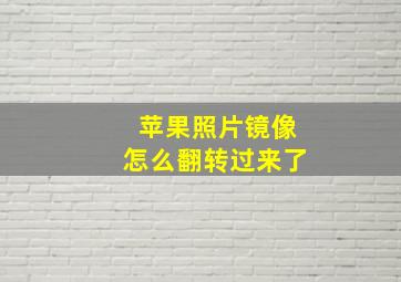 苹果照片镜像怎么翻转过来了