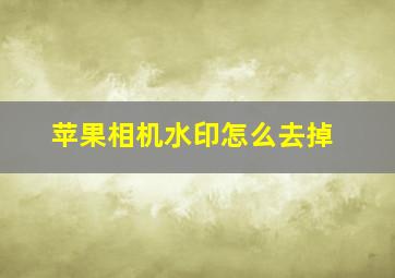 苹果相机水印怎么去掉