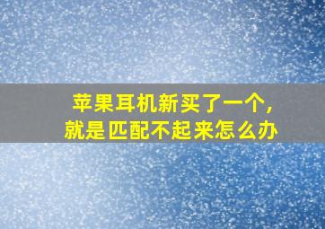 苹果耳机新买了一个,就是匹配不起来怎么办