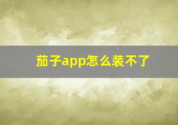 茄子app怎么装不了