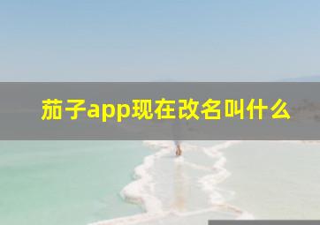 茄子app现在改名叫什么