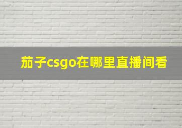 茄子csgo在哪里直播间看