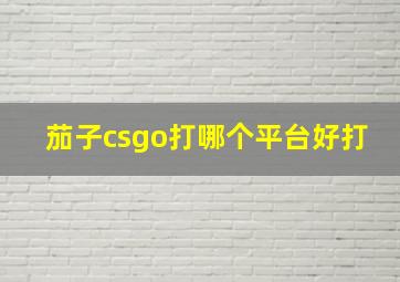 茄子csgo打哪个平台好打