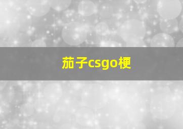 茄子csgo梗