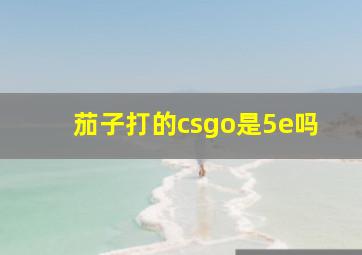 茄子打的csgo是5e吗