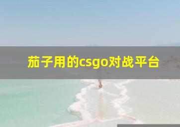 茄子用的csgo对战平台