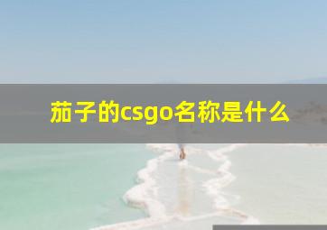 茄子的csgo名称是什么