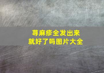 荨麻疹全发出来就好了吗图片大全