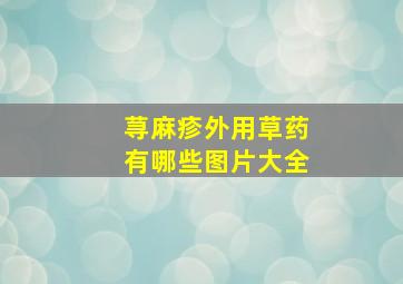 荨麻疹外用草药有哪些图片大全