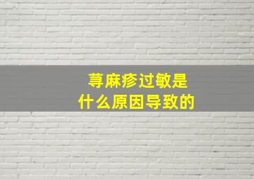 荨麻疹过敏是什么原因导致的