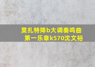 莫扎特降b大调奏鸣曲第一乐章k570沈文裕