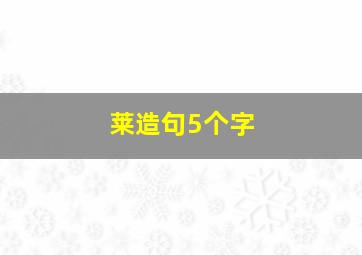 莱造句5个字