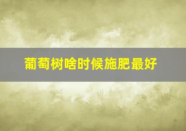 葡萄树啥时候施肥最好