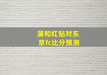 蒲和红钻对东京fc比分预测