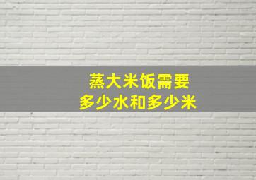 蒸大米饭需要多少水和多少米