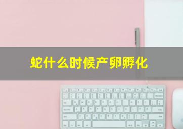 蛇什么时候产卵孵化