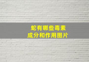 蛇有哪些毒素成分和作用图片